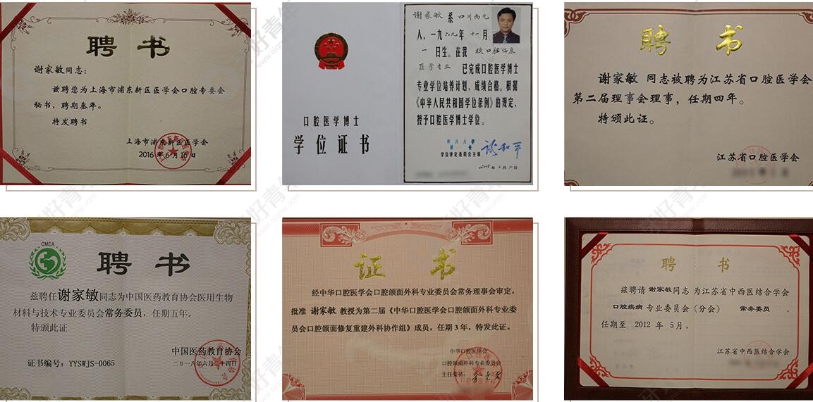 上海摩尔口腔院长谢家敏所荣获证书